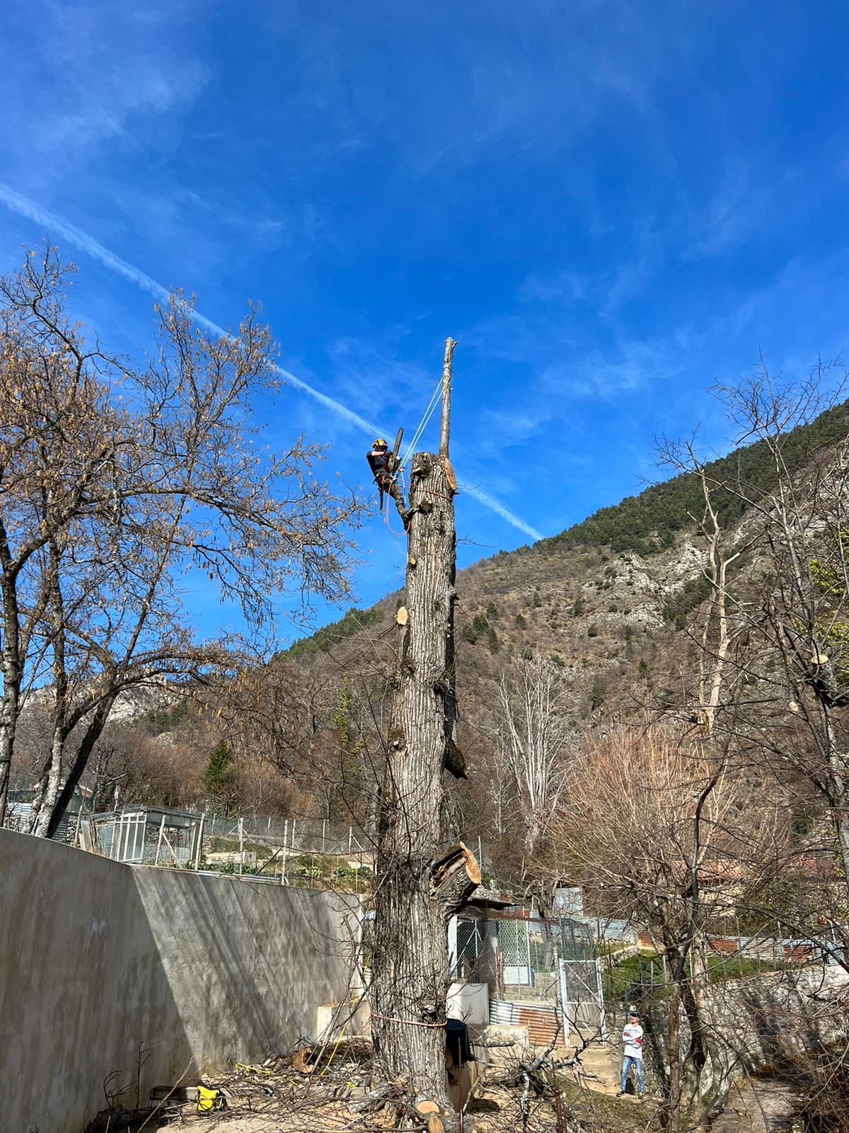 jardinier paysagiste sur Mougins - Créa Hort présentation